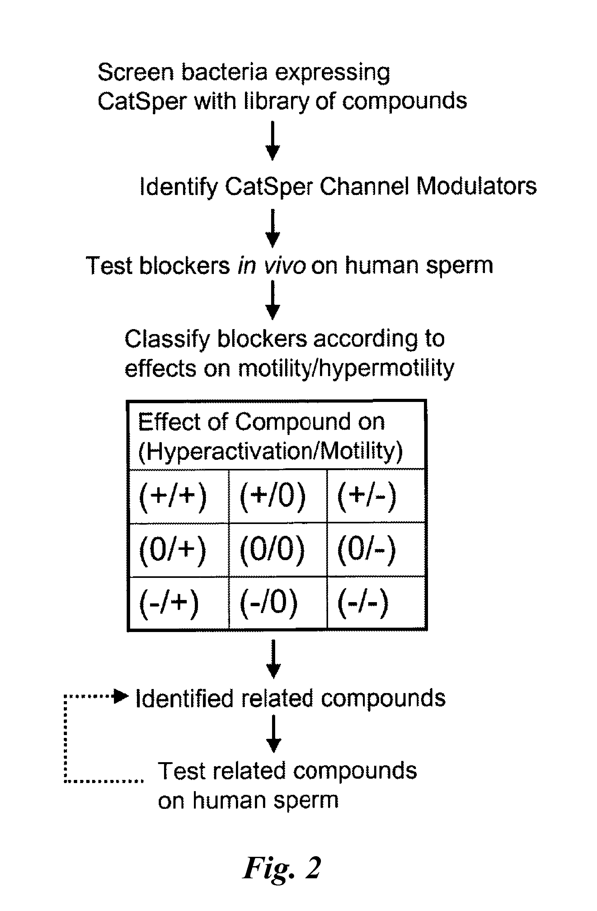 Modulators of sperm hypermobility and uses thereof