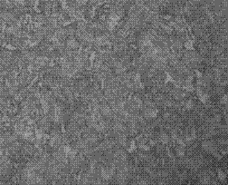 Manufacturing method for reverted austenite hot-stamped steel plate