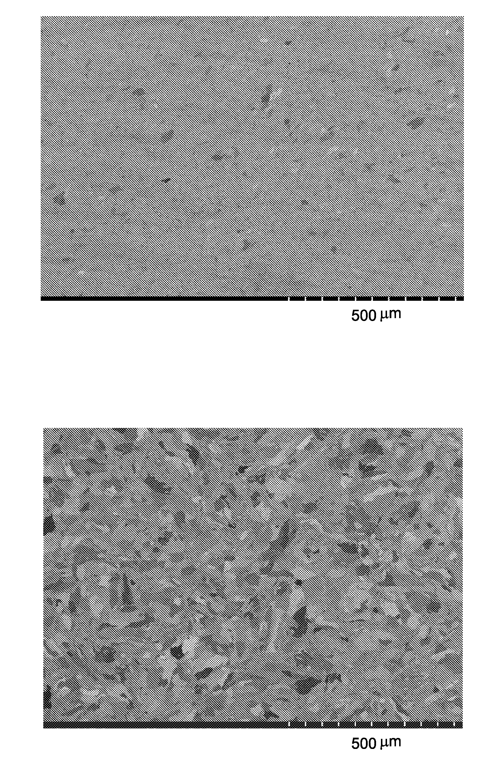 Methods for processing nanostructured ferritic alloys, and articles produced thereby