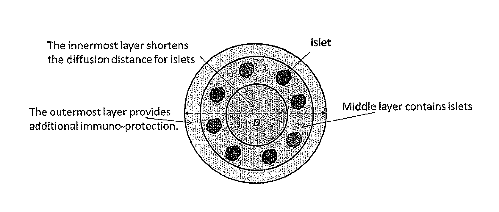 Multi-Layer Hydrogel Capsules for Encapsulation of Cells and Cell Aggregates