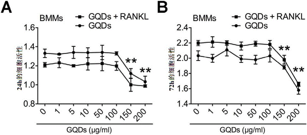 Application of graphene quantum dots to prevention and treatment of osteoporosis