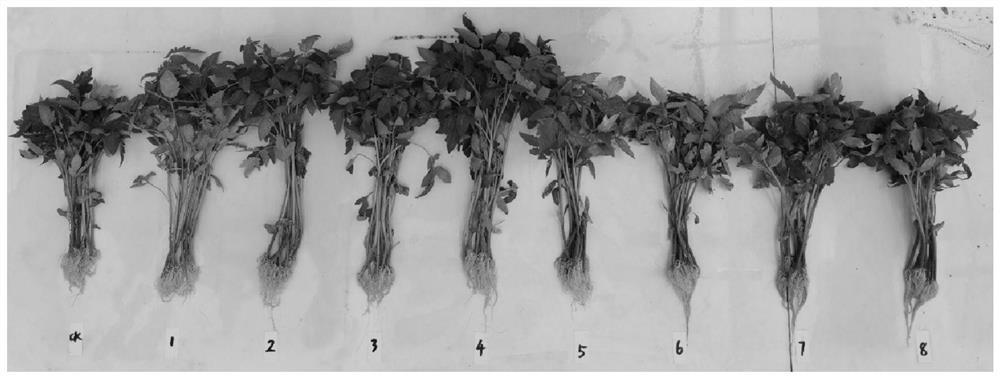 Resourceful treatment method of stalk and vine type rotten vegetable leaves and seedling culture substrate prepared by resourceful treatment method