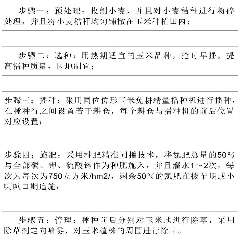 Planting method for realizing close planting and yield increasing of summer corn