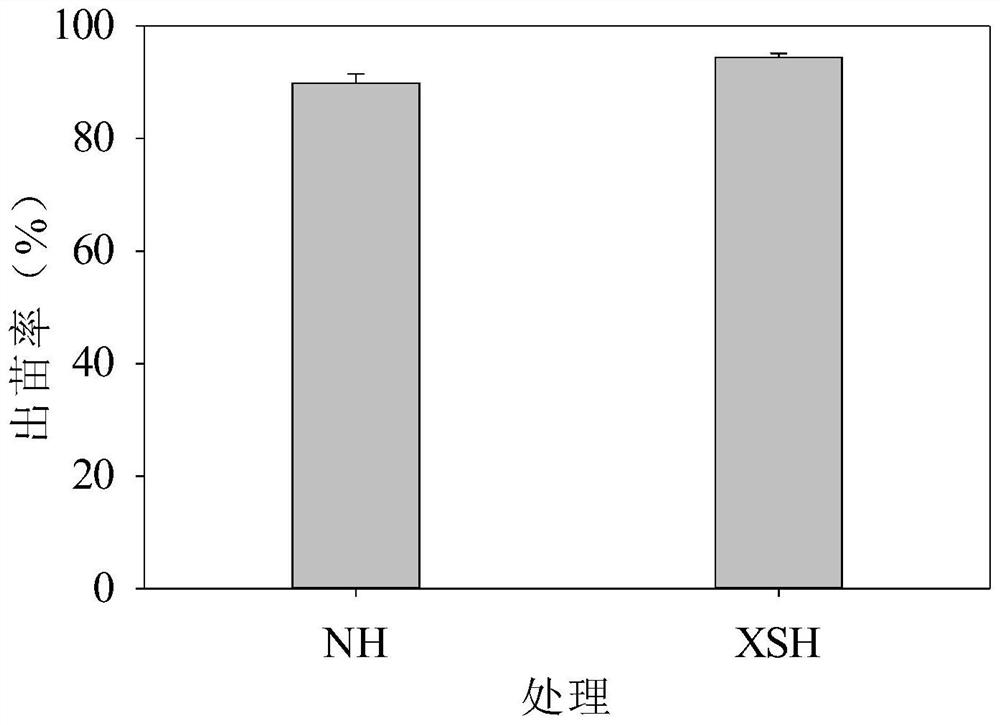 Planting method for realizing close planting and yield increasing of summer corn