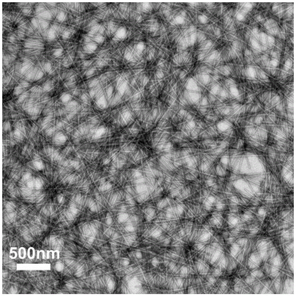 Preparing method for tobacco mosaic virus nanowire composite material with surface functionalized