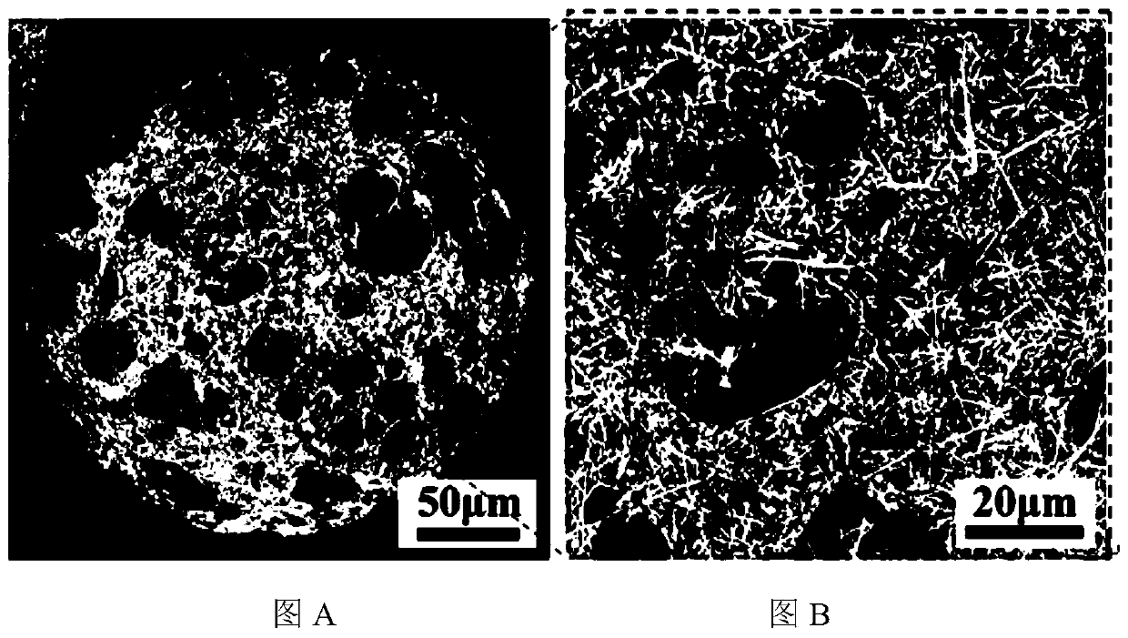 Acicular HA/PBLG porous composite microcarrier material for bone tissue engineering and preparation method of acicular HA/PBLG porous composite microcarrier material