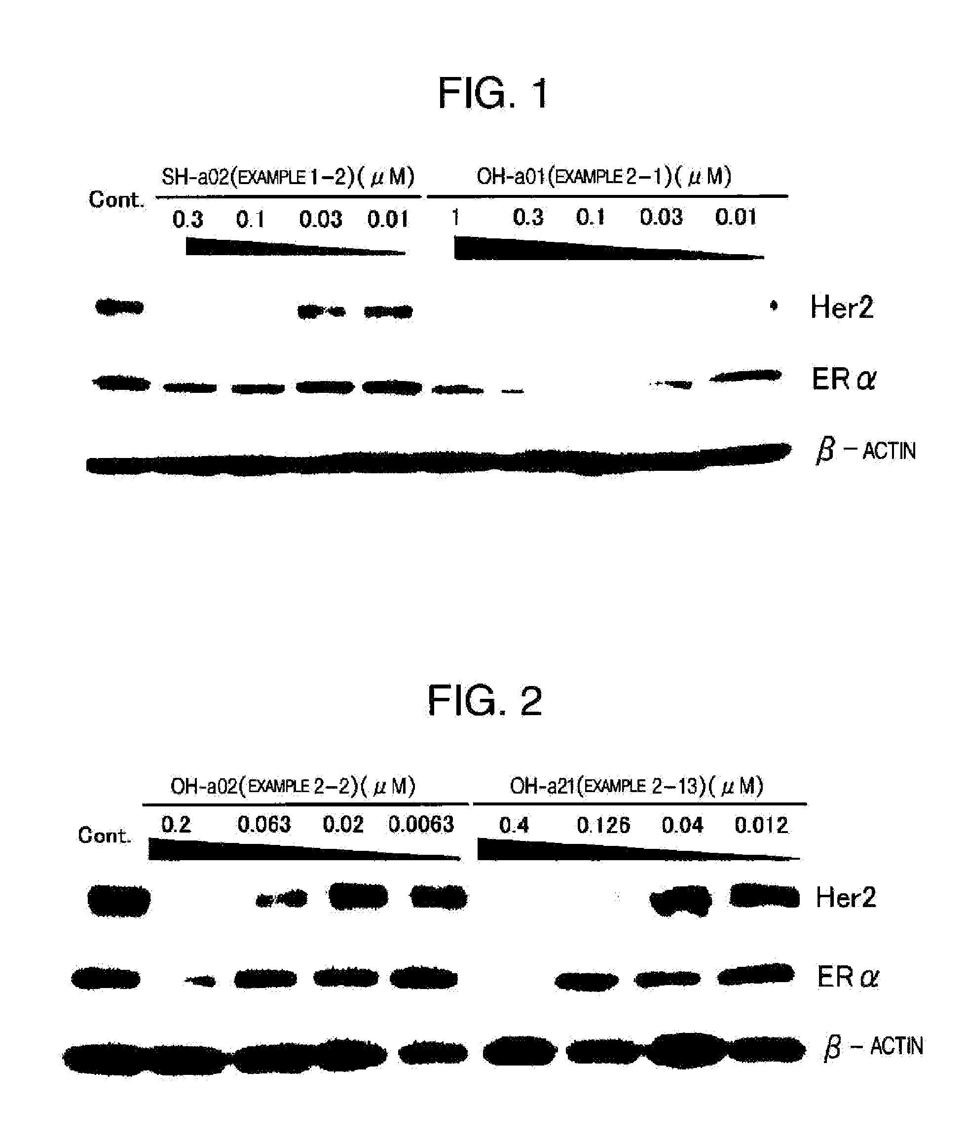 Novel HSP90 Inhibitor