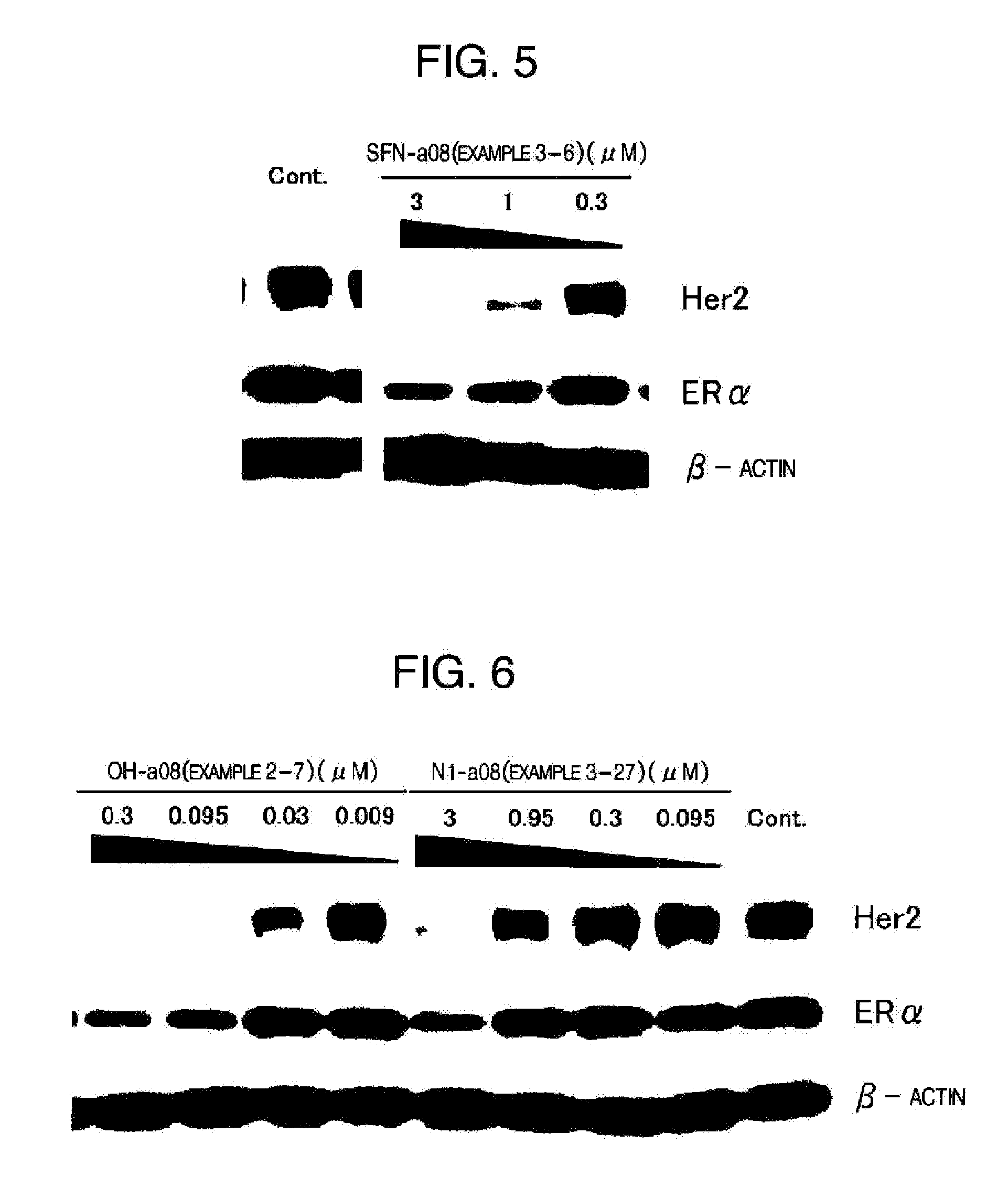 Novel HSP90 Inhibitor