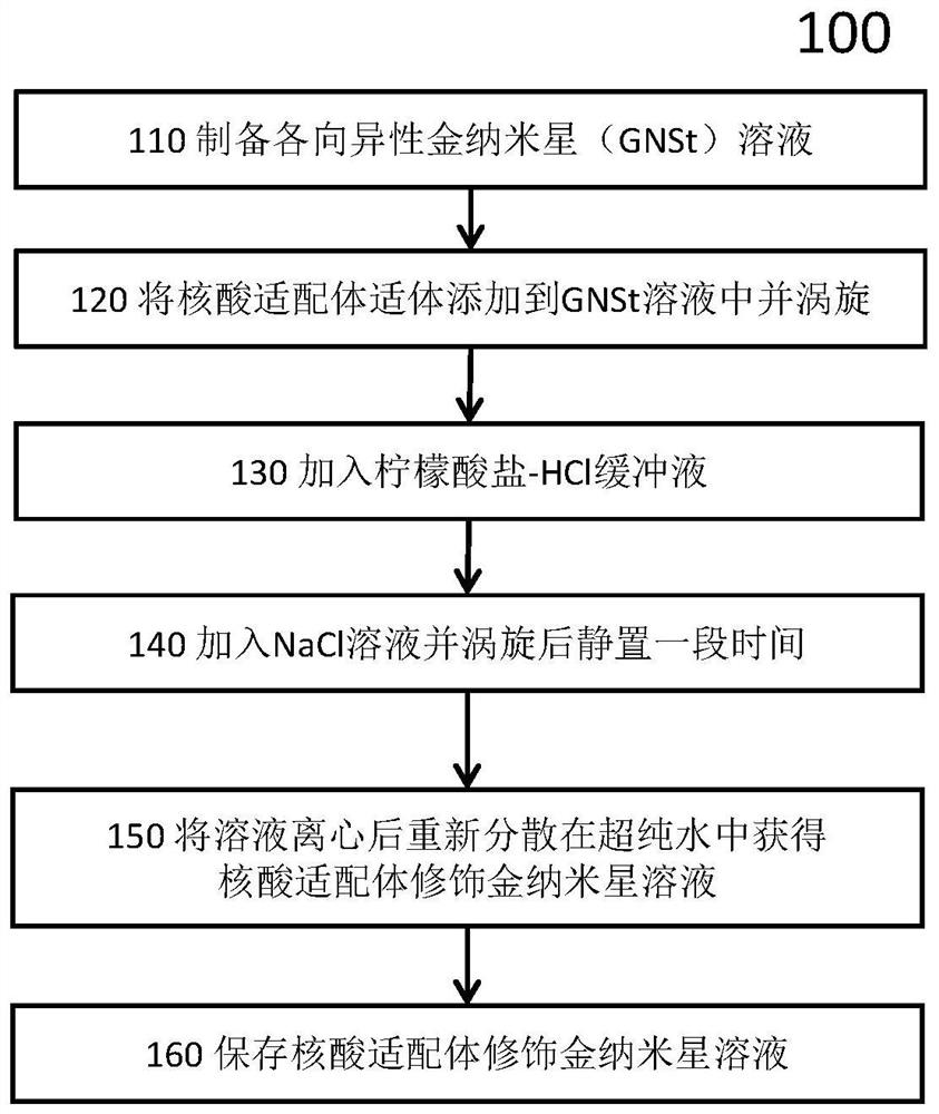 Preparation method of aptamer modified gold nanostars