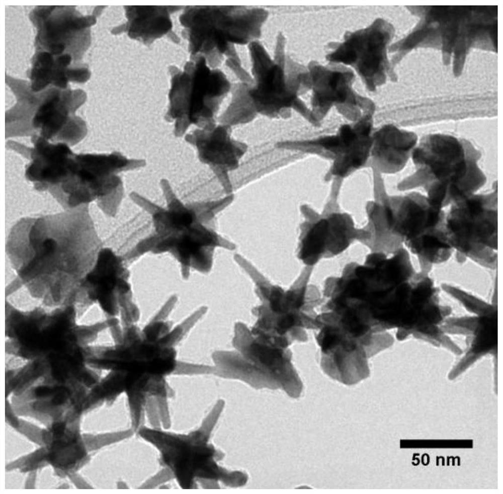 Preparation method of aptamer modified gold nanostars