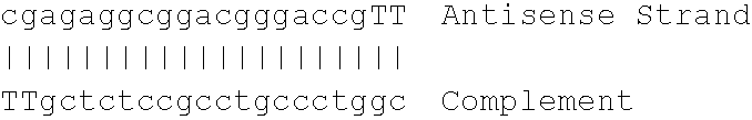 Antisense modulation of kinesin-like 1 expression