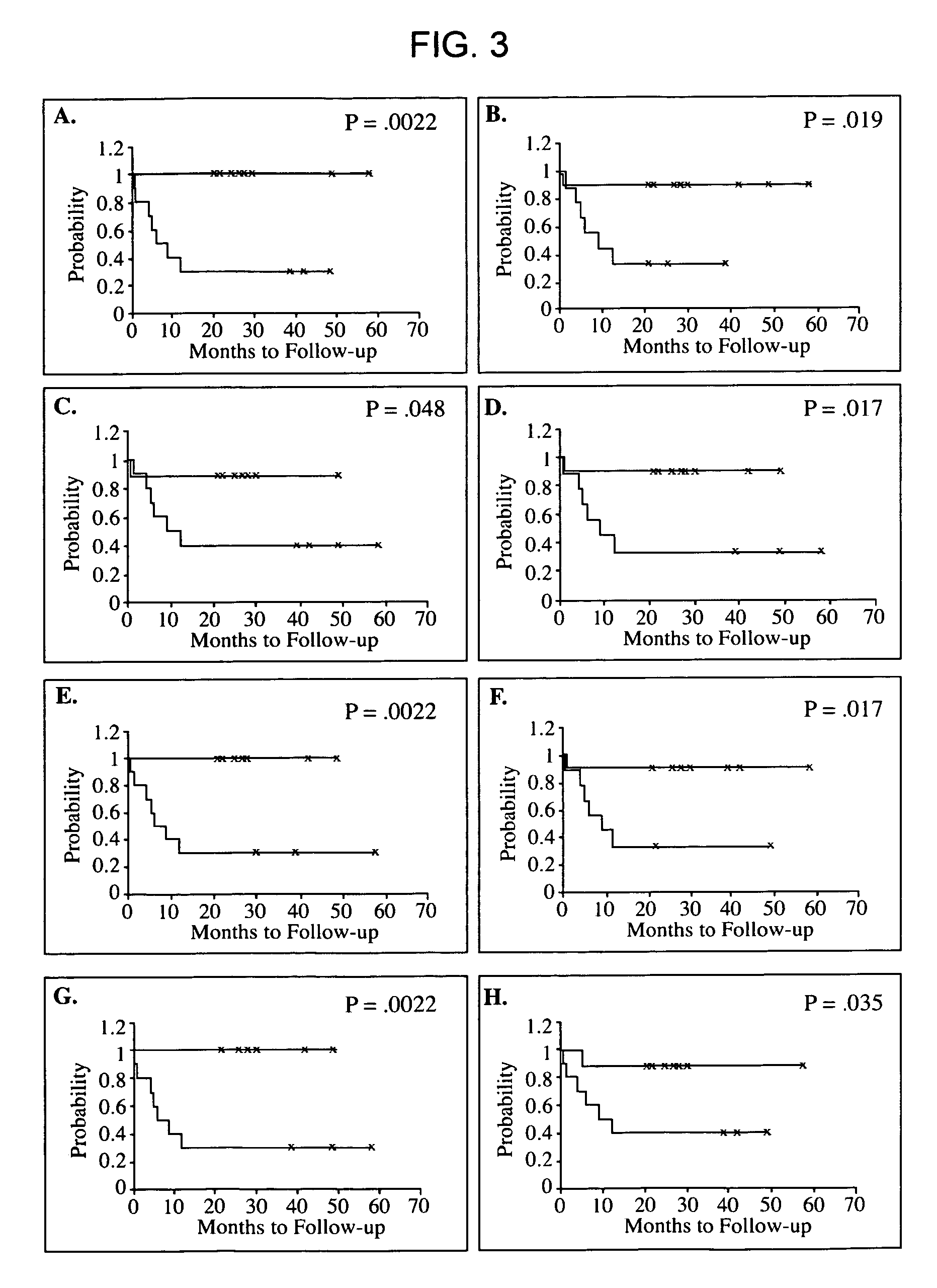 Methods and compositions for evaluating graft survival in a solid organ transplant recipient