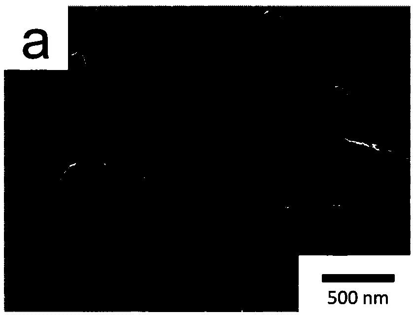 Preparation method and application of au/pils/ppynts composite material