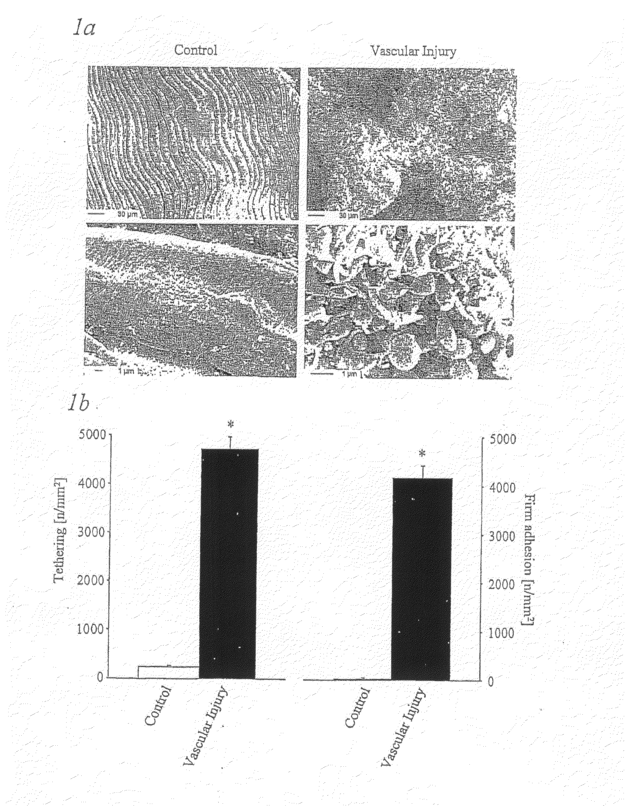Methods, products and uses involving platelets and/or the vasculature