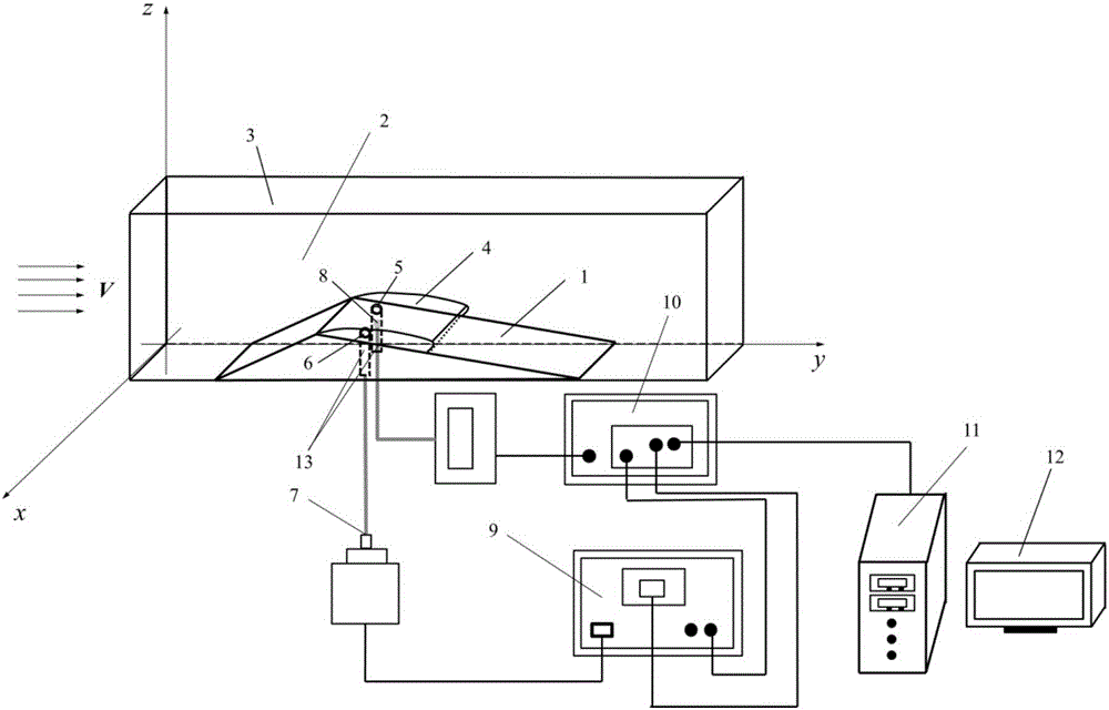 Attached unsteady cavitation fluid internal structure observation device and method