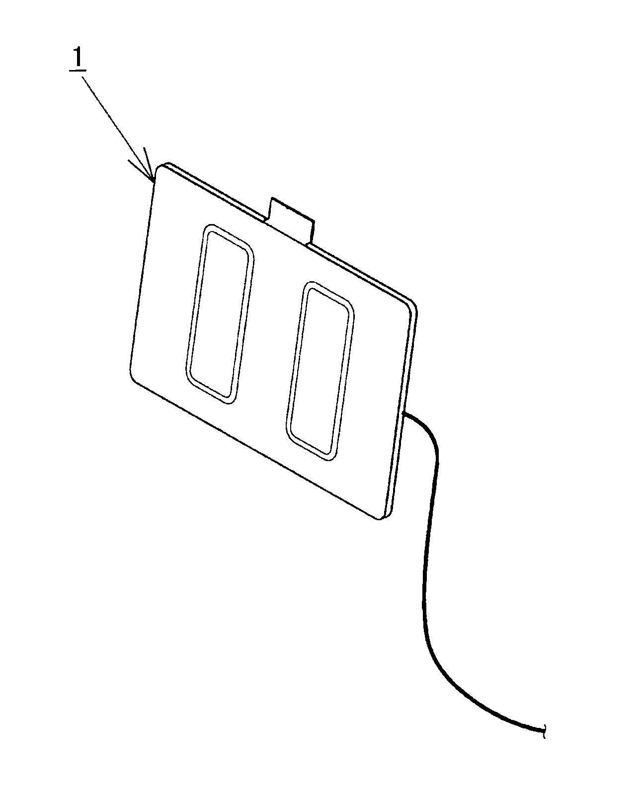 Device for determining biological state during driving and computer program
