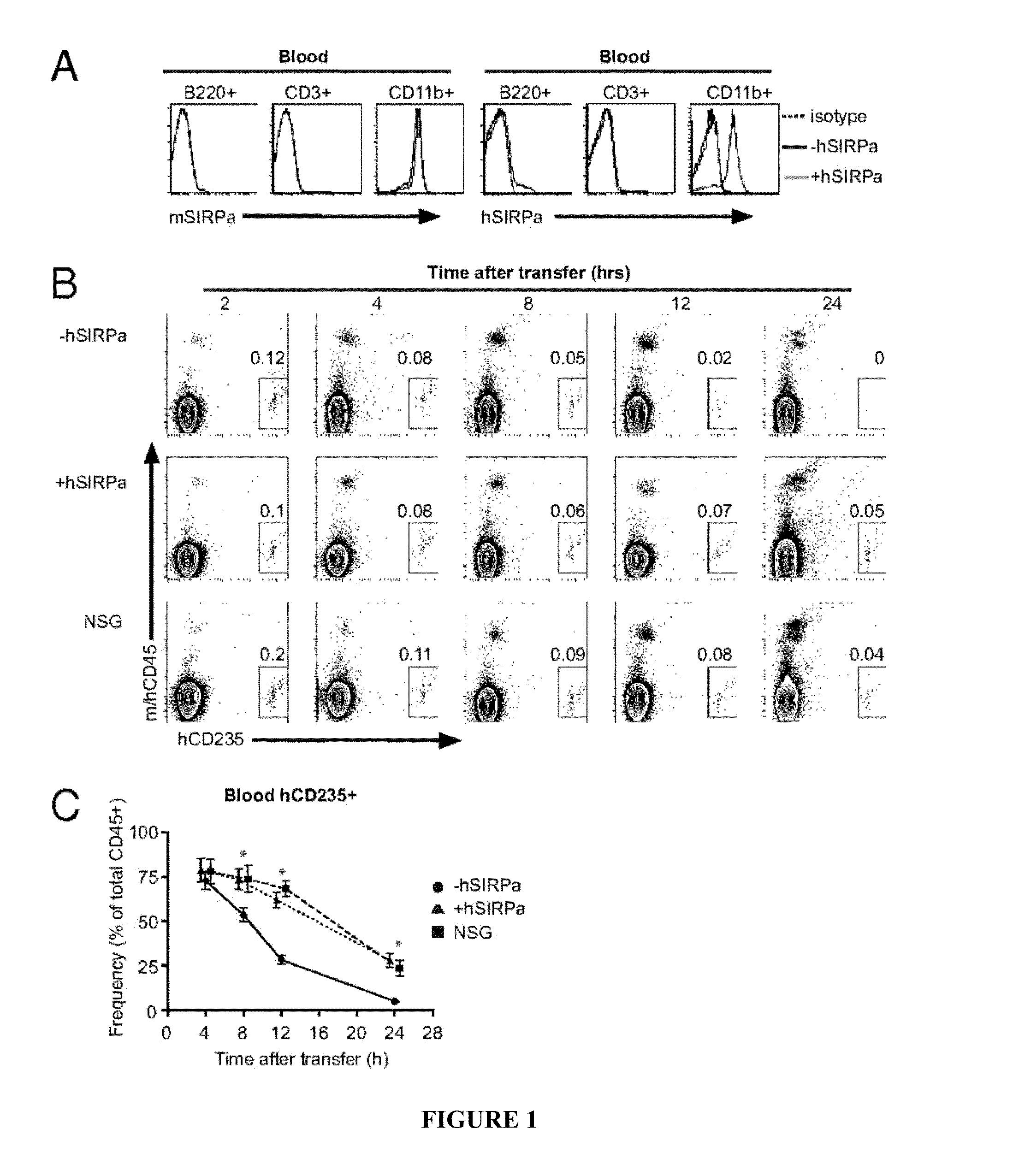 Human SIRPAalpha transgenic animals and their methods of use
