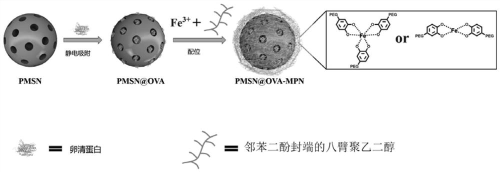 Preparation method of nano vaccine with pH and reduction dual sensitivity and obtained product