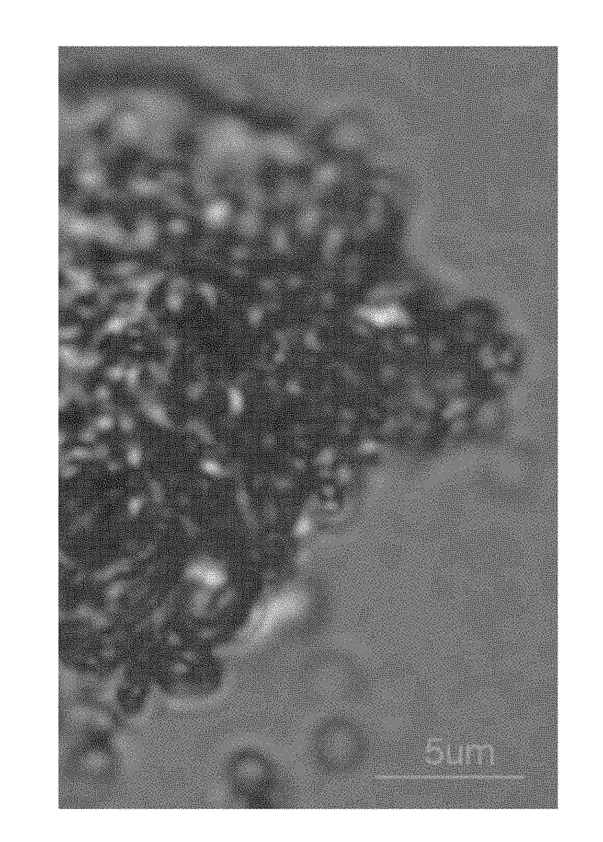 Single-step production method for nano-sized energetic cocrystals by bead milling and products thereof