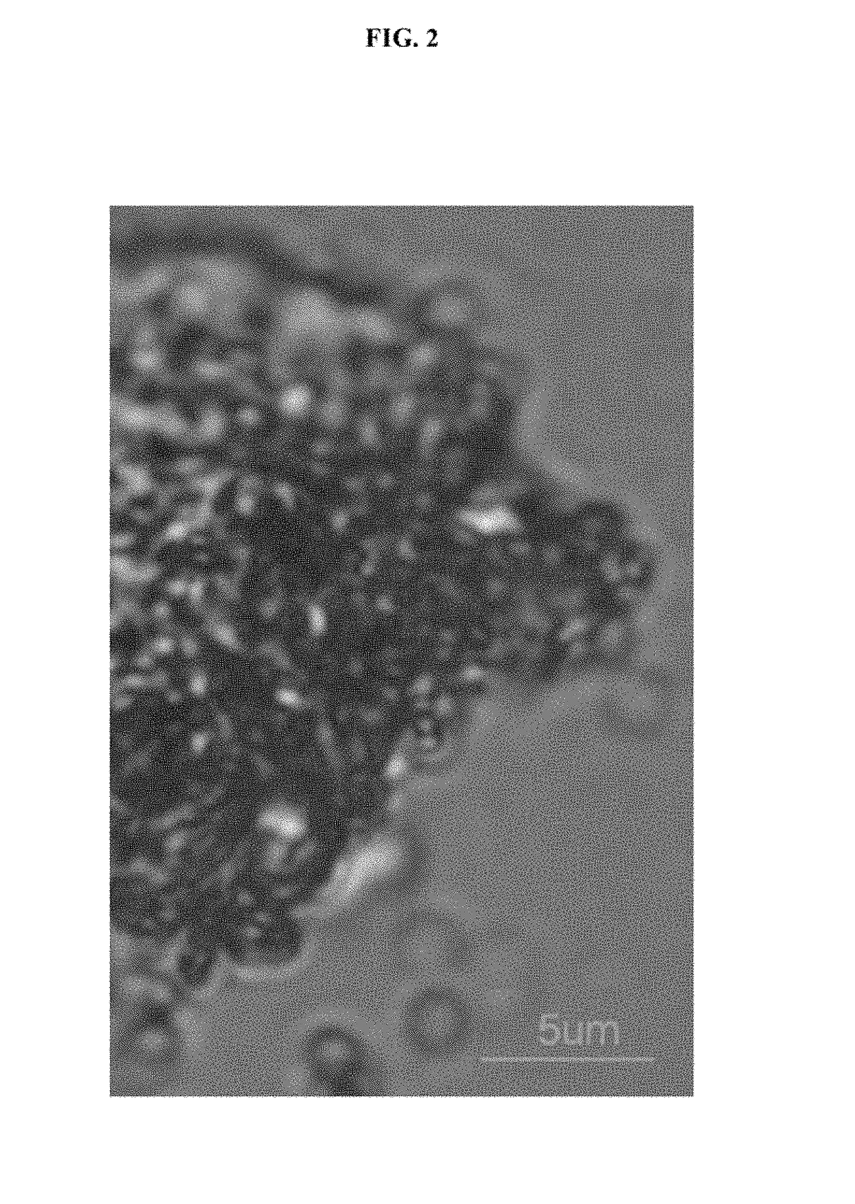 Single-step production method for nano-sized energetic cocrystals by bead milling and products thereof