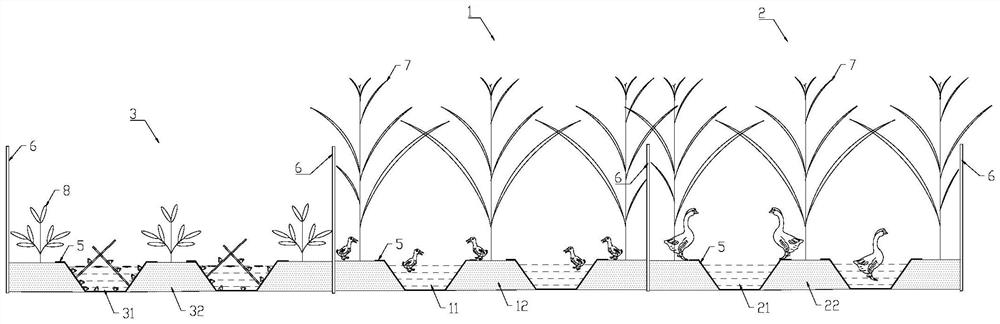 A kind of ecological breeding method of poultry