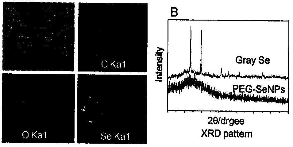 Application of nano-selenium as radiosensitizer of iodine‑125 particles