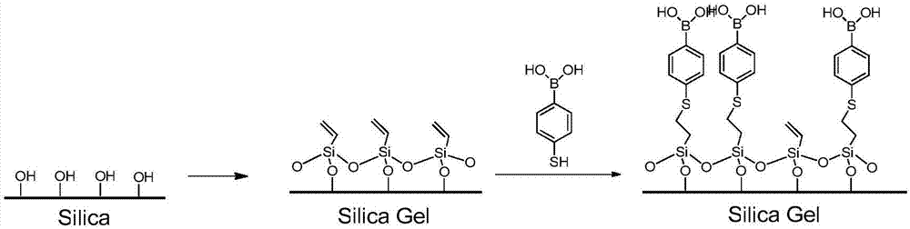 Phenyl boronic acid modified silica gel functional chromatographic filler, preparation method and applications thereof