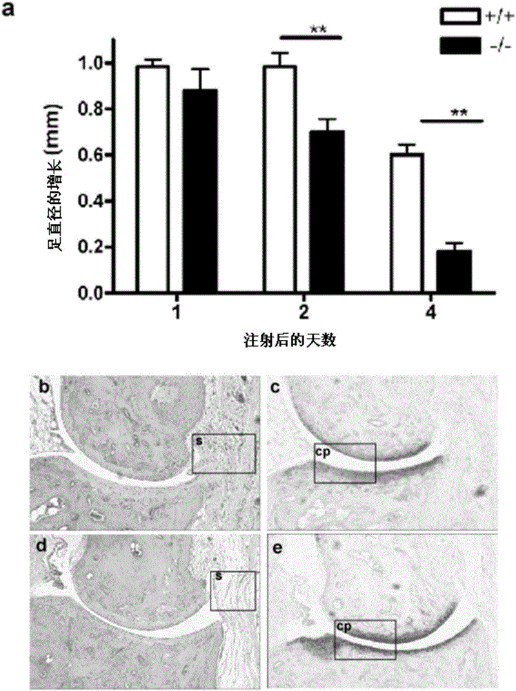 Biomarker and uses thereof