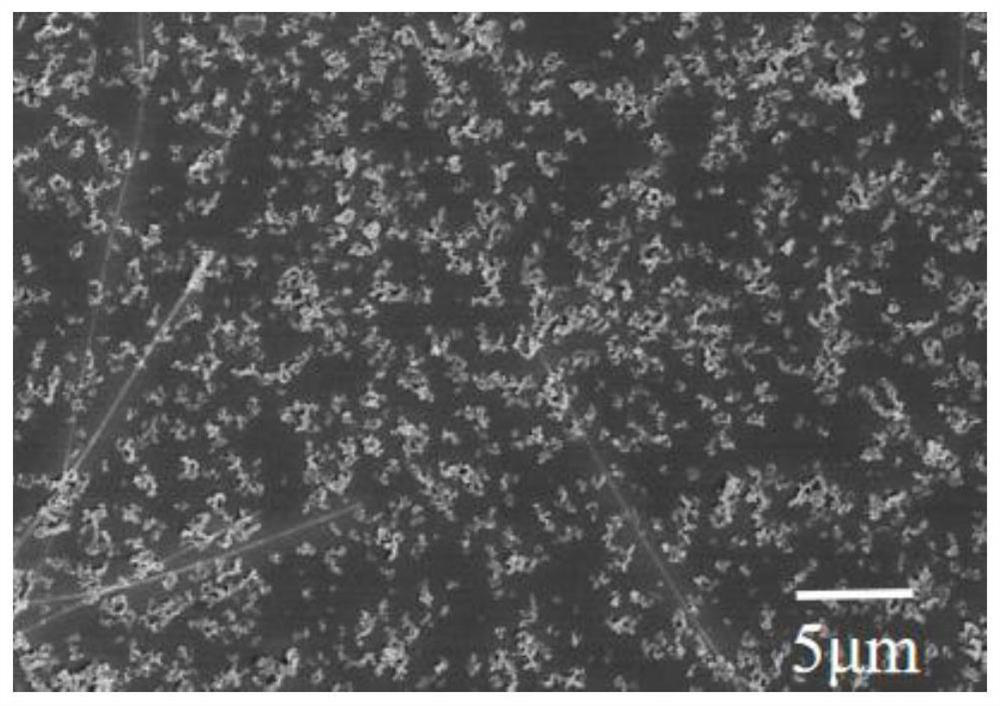 A kind of preparation method of superhydrophobic antistatic transparent coating