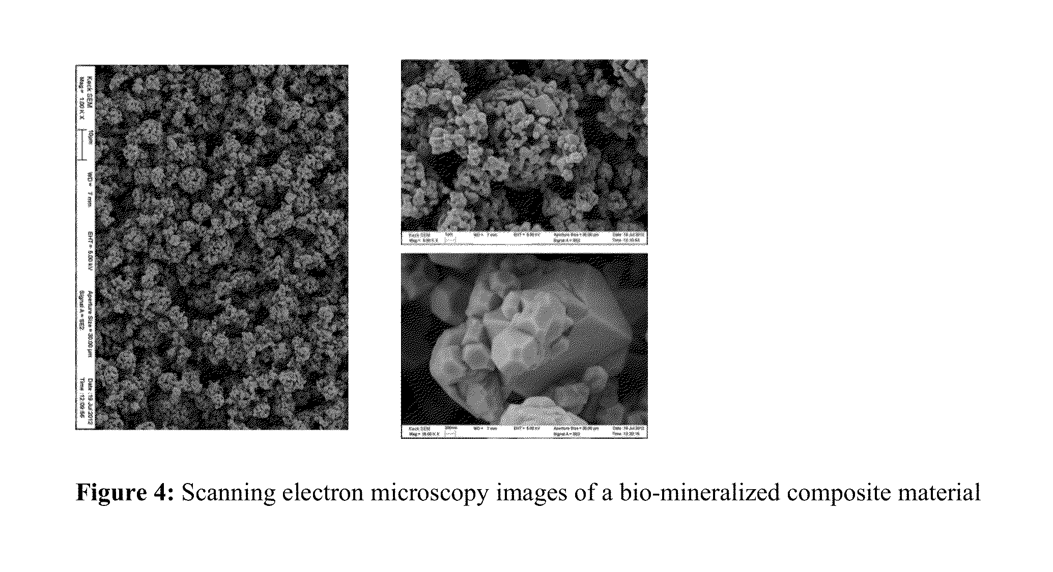 Bio-mineralized cathode and anode materials for electrochemical cell