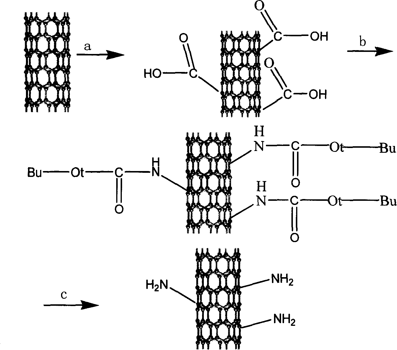 Method for preparing primary amine carbon nano tube