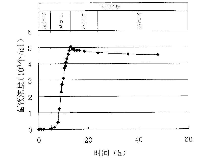 Method for laminating on surface of cement-based material by using sodium alginate-supported bacterial strain
