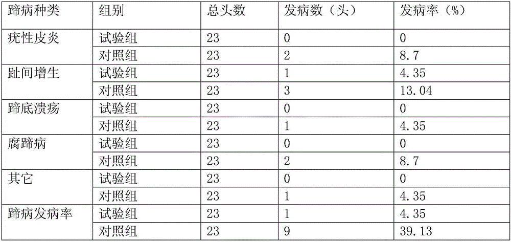 Dairy cattle hoof protection liquid with stable drug function and preparation method of dairy cattle hoof protection liquid