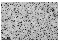 Preparation method and application of molybdenum oxide quantum dots with adjustable optical properties