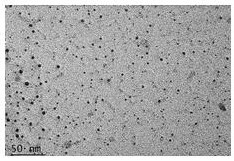 Preparation method and application of molybdenum oxide quantum dots with adjustable optical properties