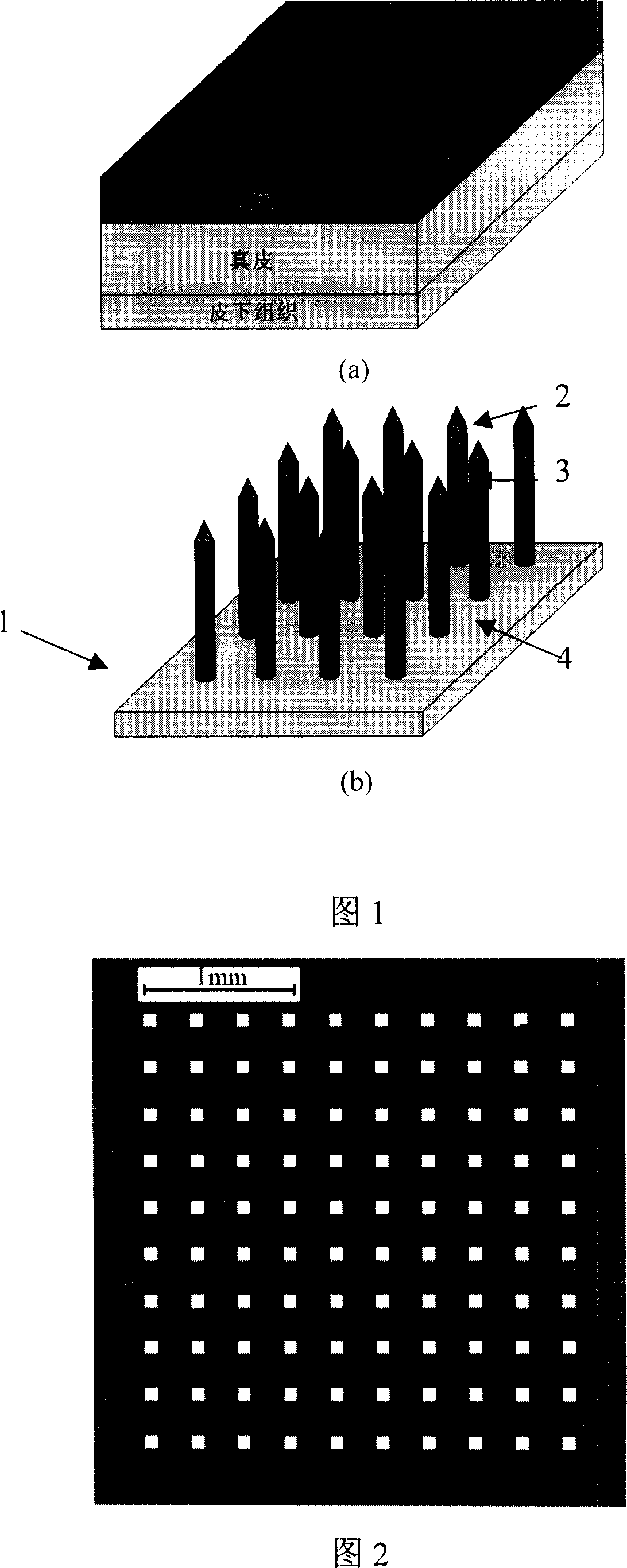 Miniature needle array for medicine transmission and its making process