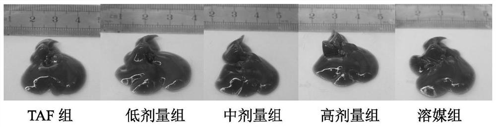 A kind of preparation method and application of polysaccharide