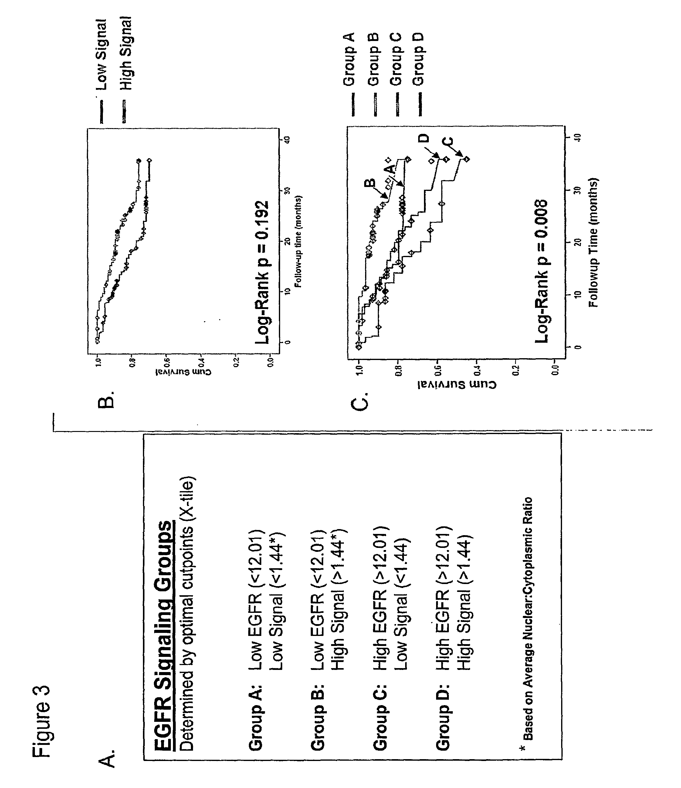 Methods for determining signal transduction activity in tumors