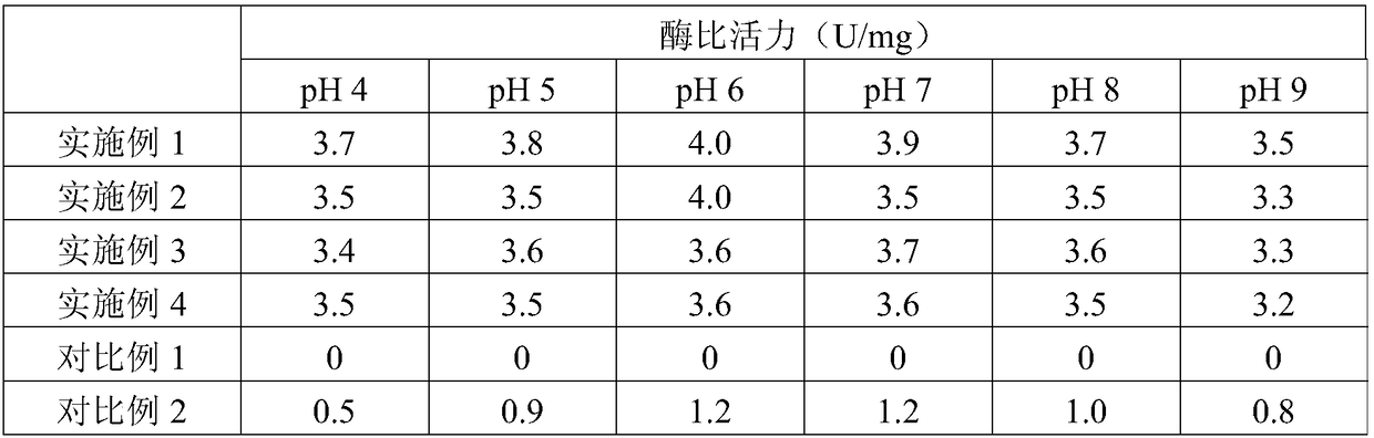 Beta-galactosidase and gene, vector and strain thereof, product with enzyme and method for converting lactose and fructose into lactulose