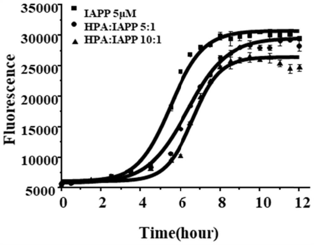 Application of beta-hydroxypyruvic acid in preparation of human islet amyloid polypeptide aggregation inhibitor