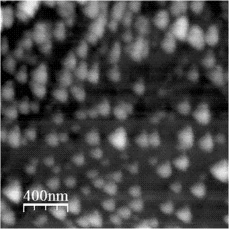 ZrO2 nanometer points of single material, and preparation method and application thereof