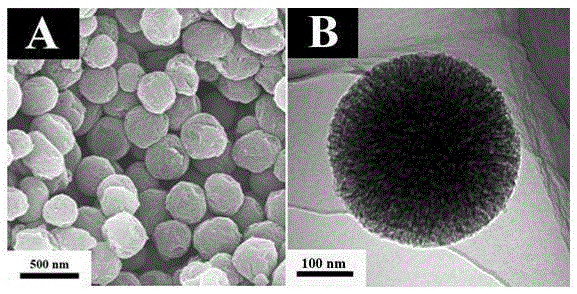 A mesoporous carbon nanoparticle system with targeted drug release and its application