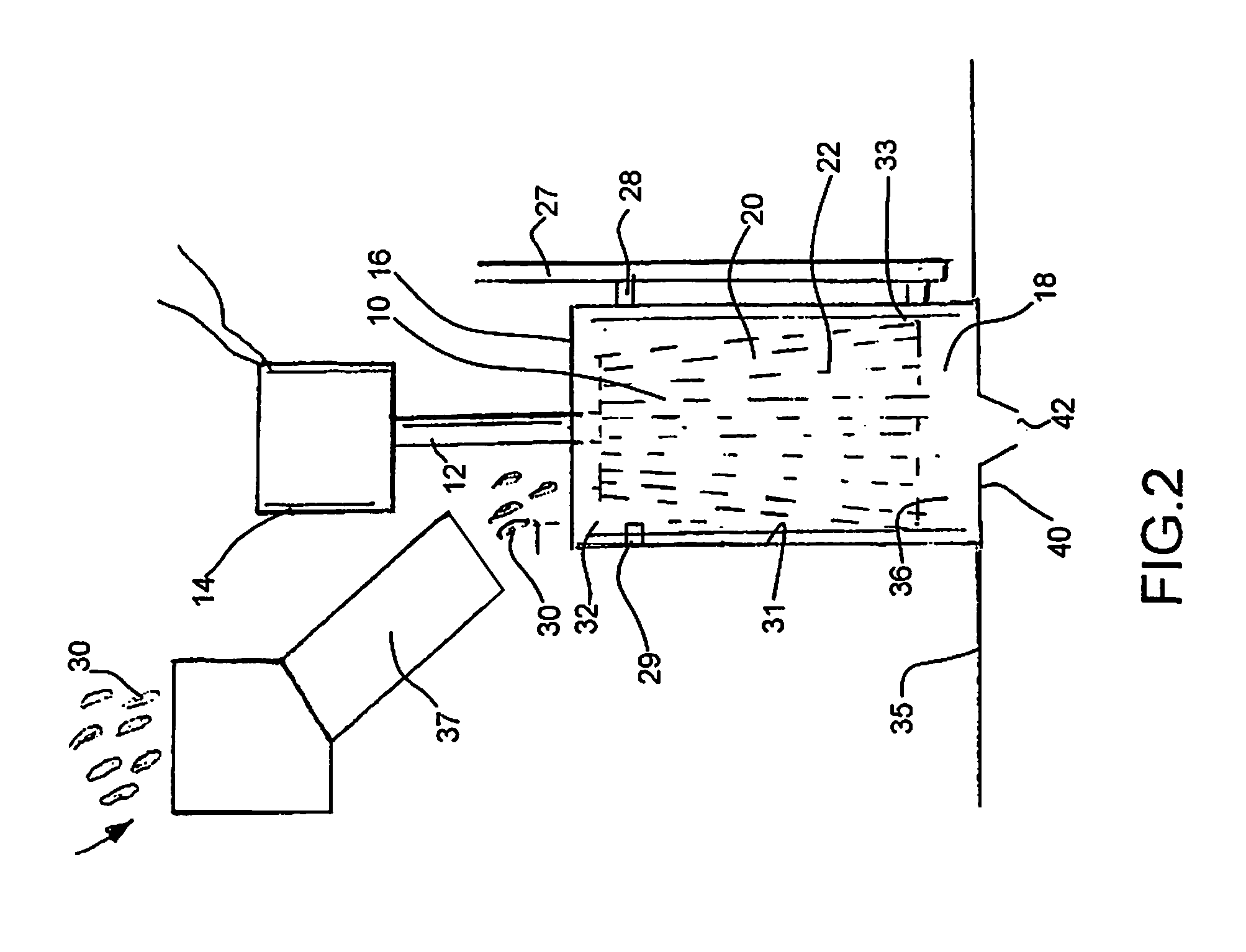 Pecan nut meat extractor