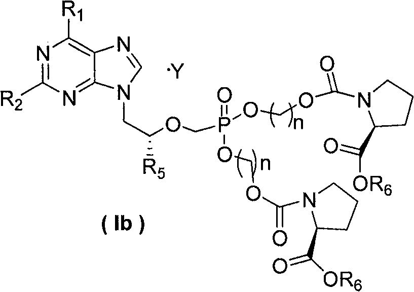 Non-cyclic nucleoside phosphonate compound and its composition, prepn process and use