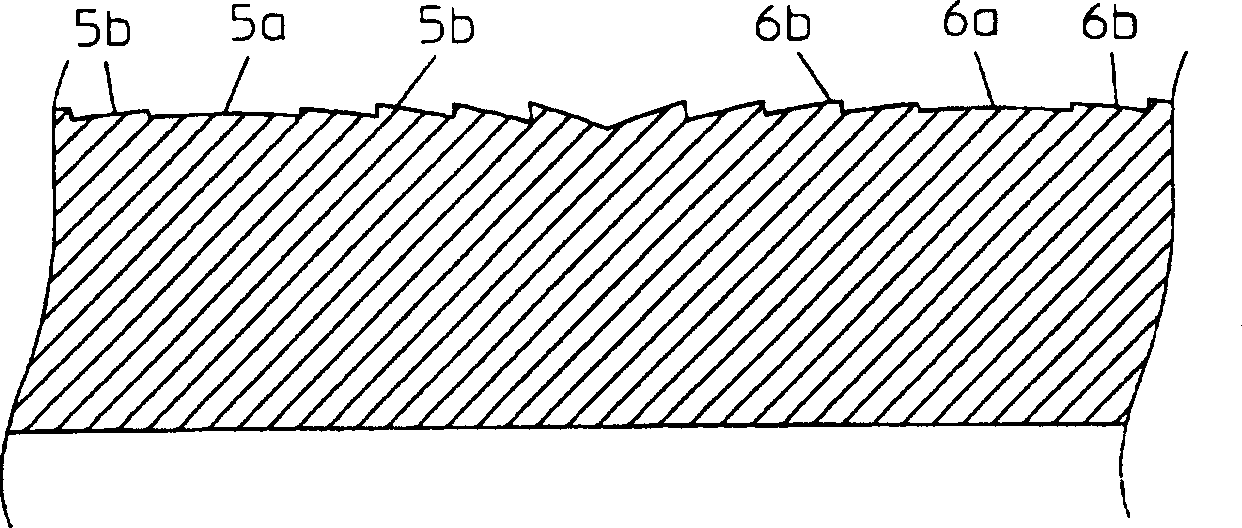 Flash and image recorder with the flash