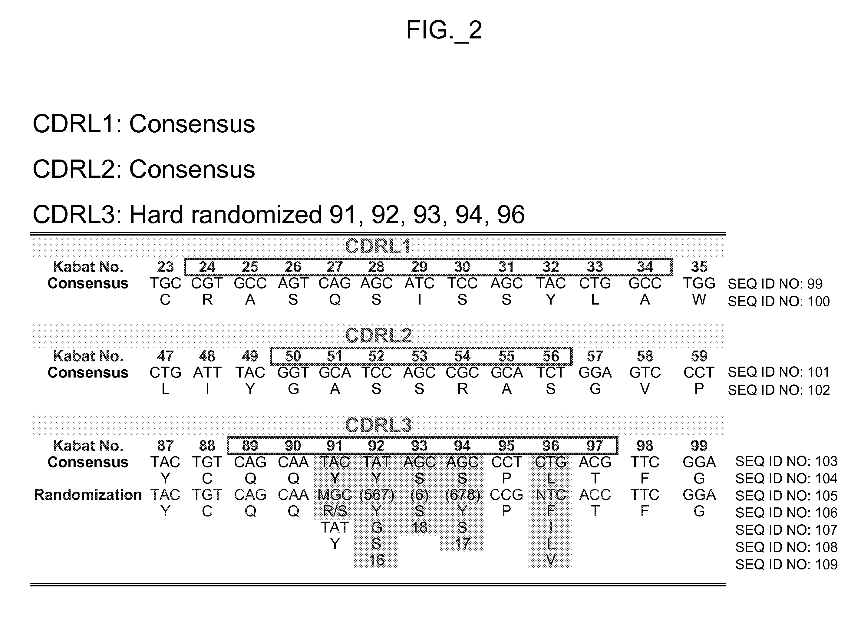 Binding polypeptides with diversified and consensus vh/vl hypervariable sequences