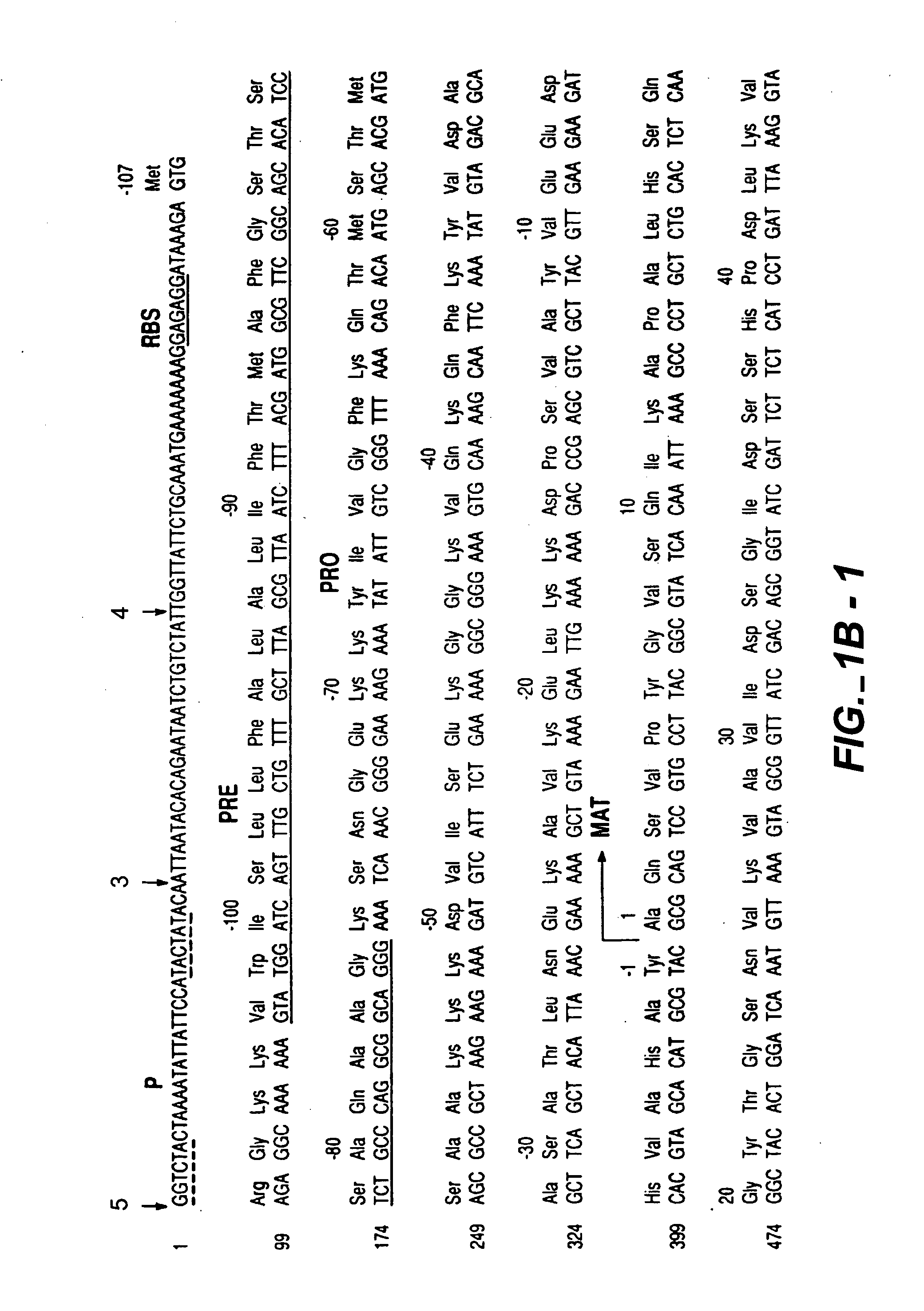 Proteases producing an altered immunological response and methods of making and using the same