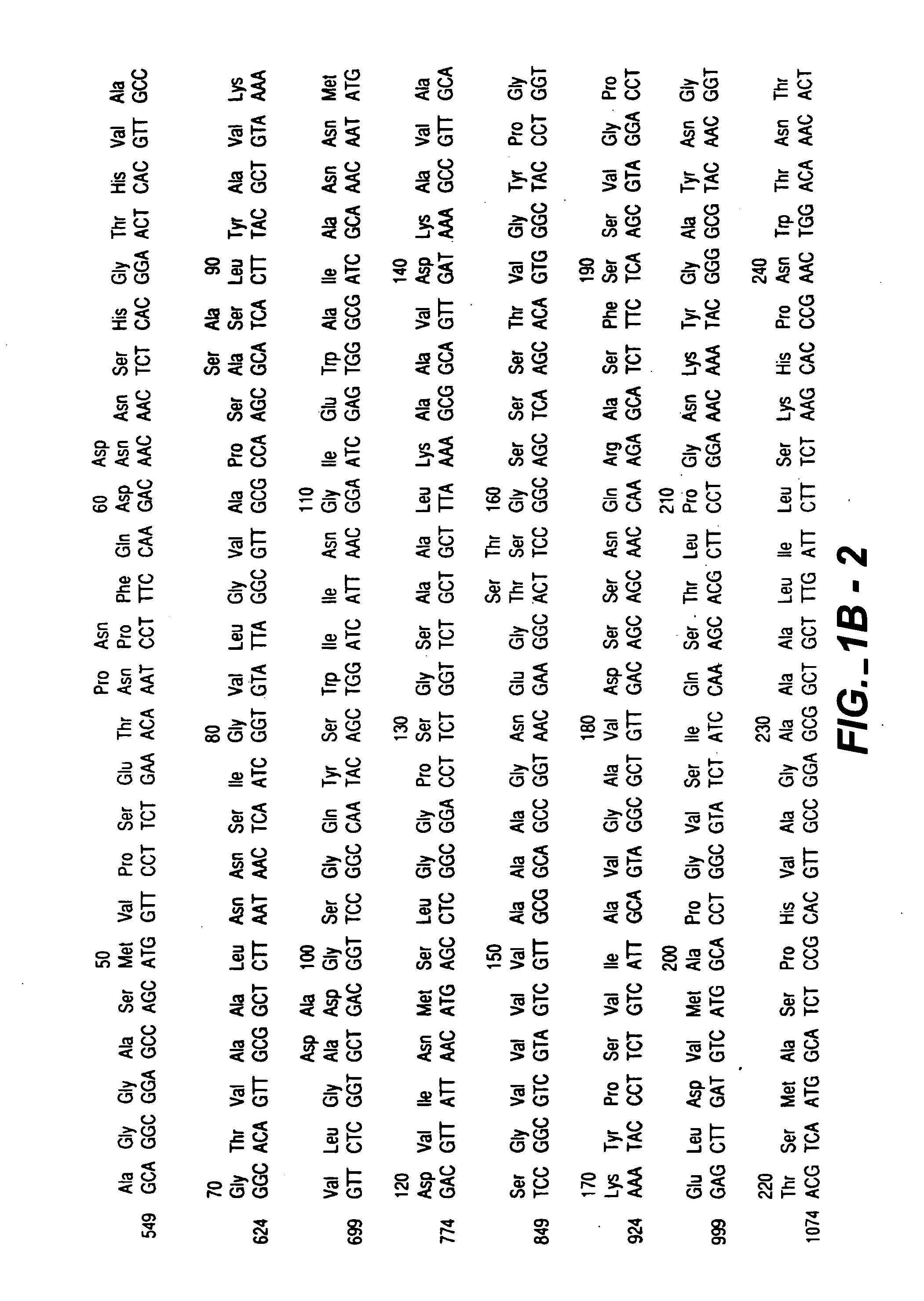 Proteases producing an altered immunological response and methods of making and using the same