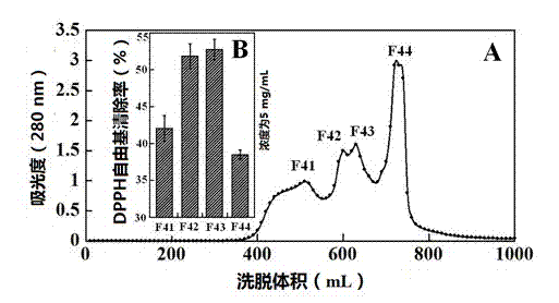 Minced tuna protein antioxidative peptide and its preparation method and use
