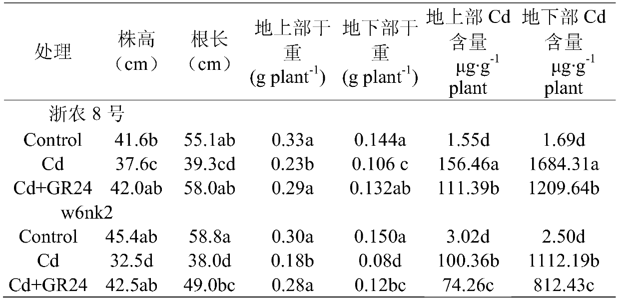 Application of strigolactone in alleviating cadmium toxicity of cadmium stress to plants